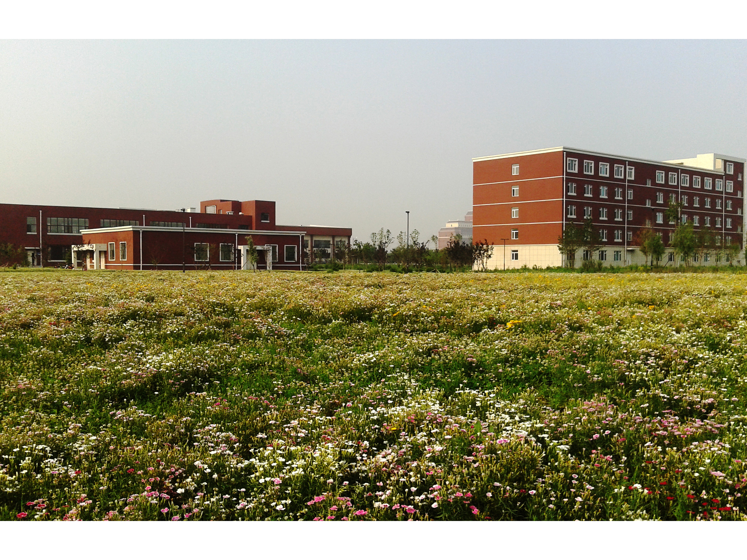 研究生公寓、綜合服務樓