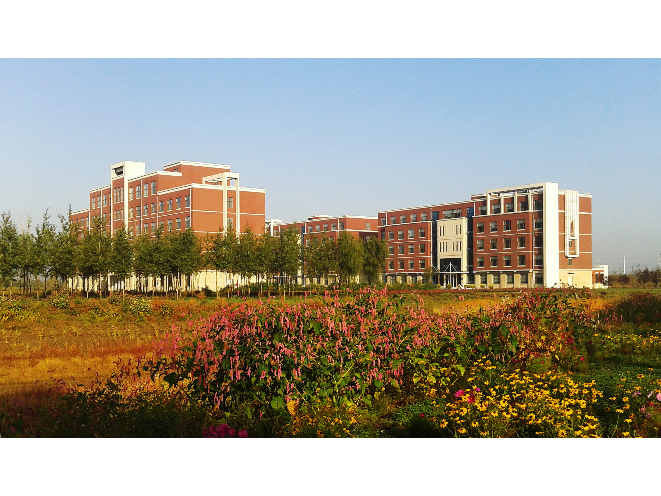 秋景（地理綜合樓、環境實驗樓、濕地實驗樓）